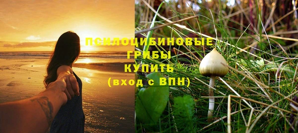 мяу мяу мука Алзамай